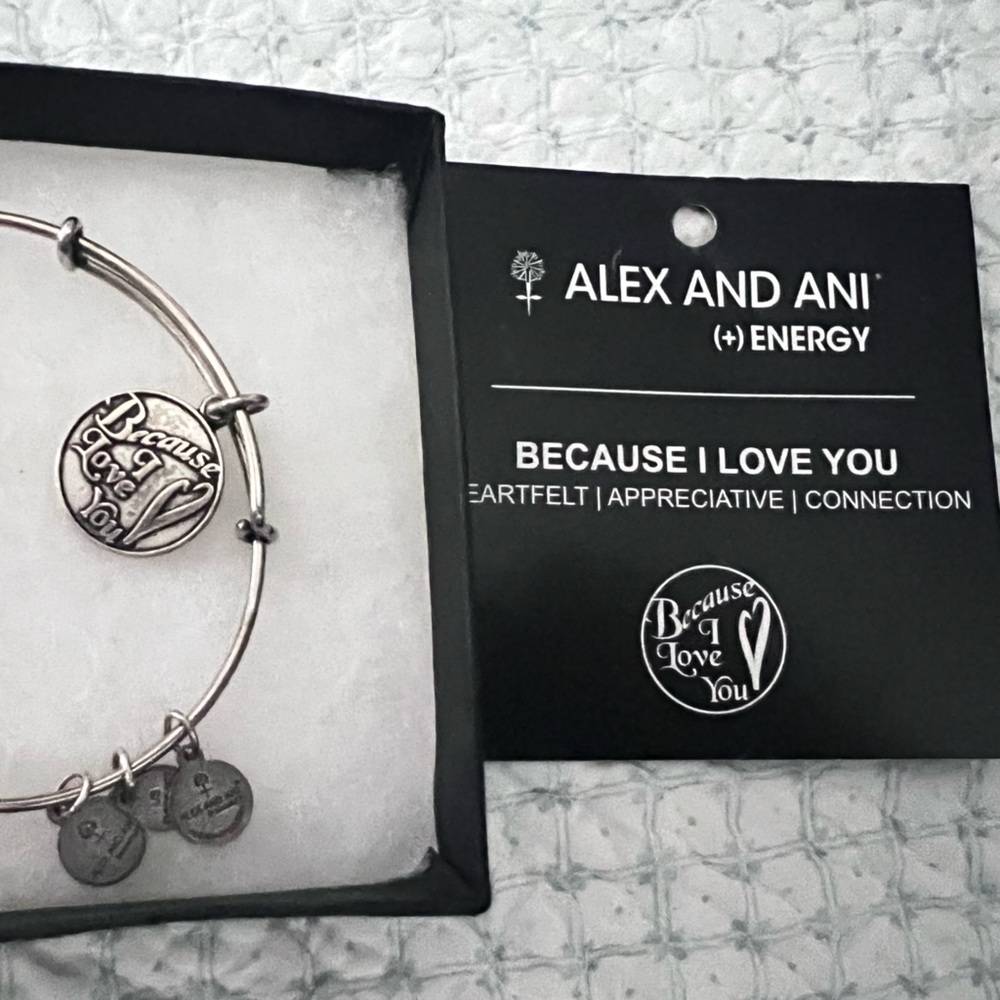 Alex and Ani Silver Charm Bracelet